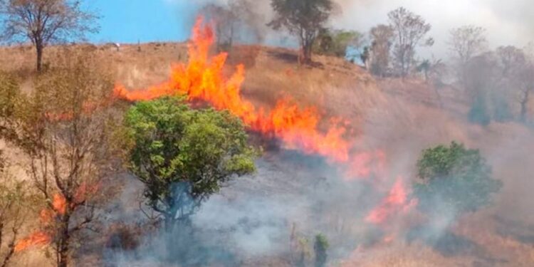 Emiten recomendaciones para evitar desastres por quemas agrícolas