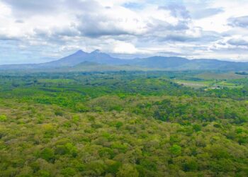 Hoy se conmemora el día mundial de la educación ambiental. /Foto: Inab