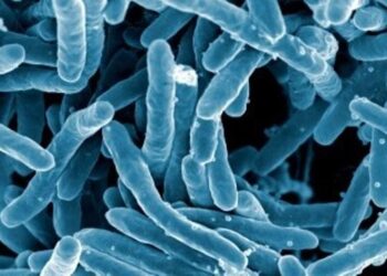 ONU: Recortar contaminación es crucial para evitar las superbacterias