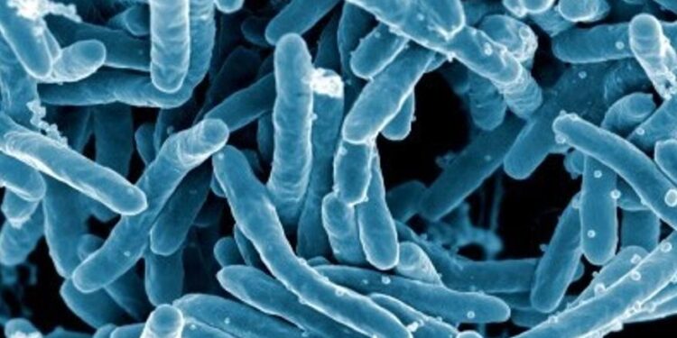ONU: Recortar contaminación es crucial para evitar las superbacterias