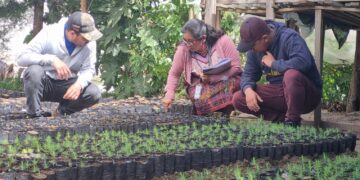 Inab ejecuta acciones para el desarrollo y legalidad forestal en Chimaltenango