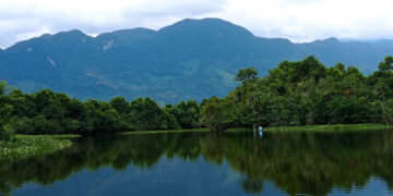 Bocas del Polochic, hogar de manatíes en el Atlántico