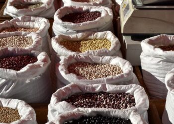Resaltan importancia de las legumbres