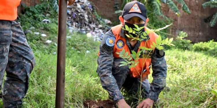 Ejército se traza meta de plantar 350 mil árboles para 2023
