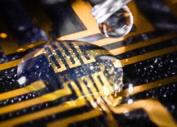 Logran cultivar electrodos en tejidos animales vivos