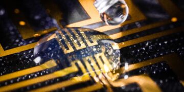 Logran cultivar electrodos en tejidos animales vivos