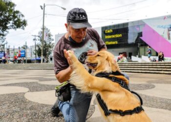 Comparten medidas para el ingreso de mascotas en áreas recreativas