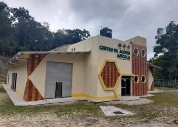 Proyecto apícola promueve buenas prácticas en Petén