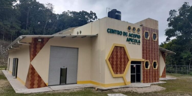 Proyecto apícola promueve buenas prácticas en Petén