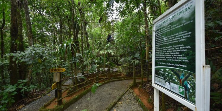 Recuerdan a Mario Dary, en el Día del Biólogo