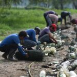 Conocen proyectos para impulsar reciclaje