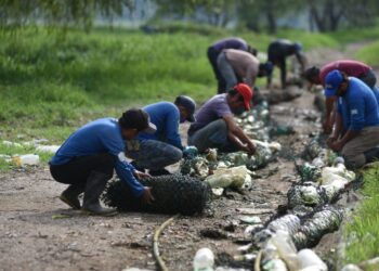 Conocen proyectos para impulsar reciclaje