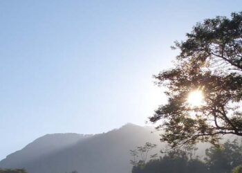 Condiciones del clima para este día. /Foto: DCA archivo