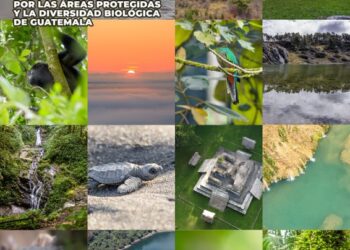 Conmemoran 34 aniversario del CONAP