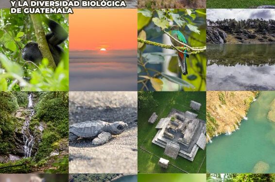 Conmemoran 34 aniversario del CONAP