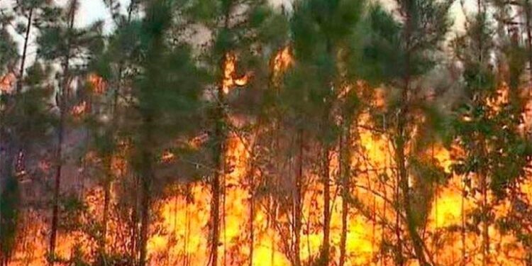 Gran incendio forestal afecta zona boscosa de Cuba