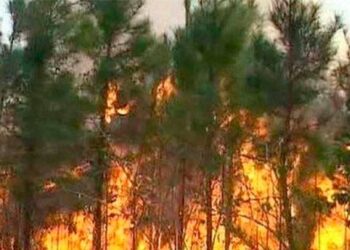 Gran incendio forestal afecta zona boscosa de Cuba