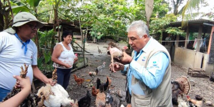 Emiten recomendaciones para evitar casos de influencia aviar