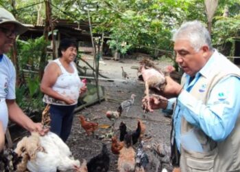 Emiten recomendaciones para evitar casos de influencia aviar