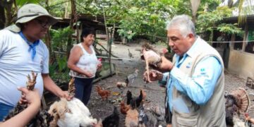 Emiten recomendaciones para evitar casos de influencia aviar