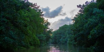 Humedales, un recurso natural valioso para el mundo