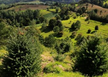 MARN se adhiere a Protocolo de Finanzas Sostenibles de Guatemala