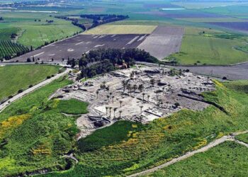 Trepanación más antigua en Oriente Próximo se remonta a la Edad de Bronce