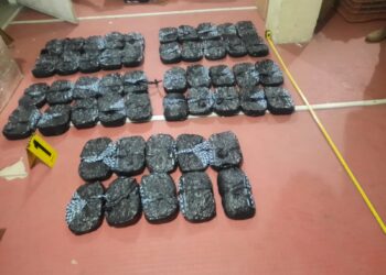 Policías antinarcóticos localizan marihuana en agencia de San Marcos.