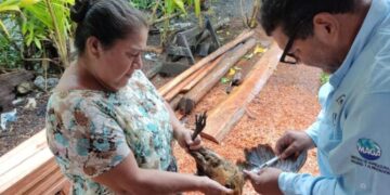 Personal del Maga en inspecciones y vacunación contra Influenza Aviar