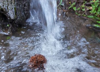Continúan acciones para resguardar riqueza natural de cordillera Alux