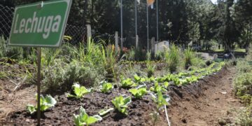 Escuelas técnicas de campo contribuirán al desarrollo de Huehuetenango