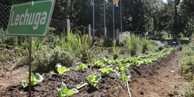 Escuelas técnicas de campo contribuirán al desarrollo de Huehuetenango