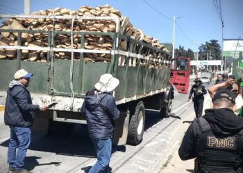 Verifican legalidad en transporte de producto forestal