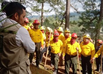 Brigadas de respuesta de Alta Verapaz fortalecen capacidades para combatir incendios