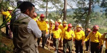 Brigadas de respuesta de Alta Verapaz fortalecen capacidades para combatir incendios