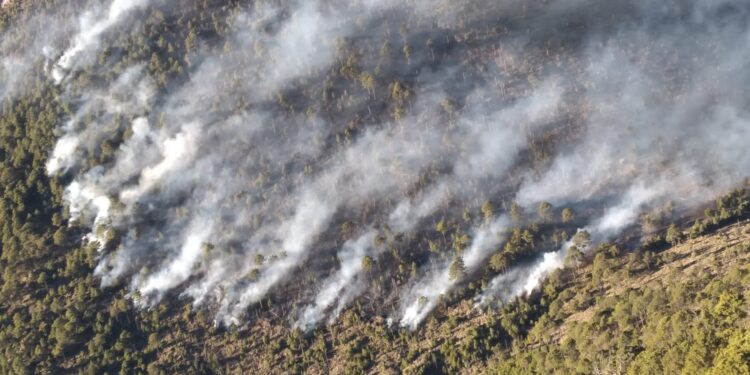 Brigadas de respuesta trabajan para controlar incendio en volcán de Fuego