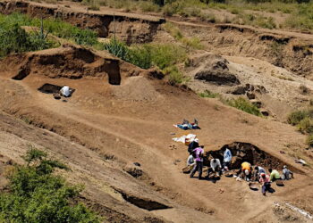 Debaten sobre creadores de utensilios más antiguos