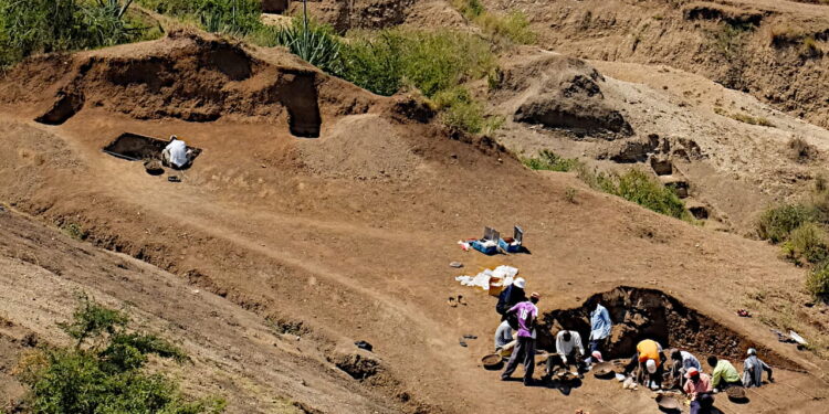 Debaten sobre creadores de utensilios más antiguos