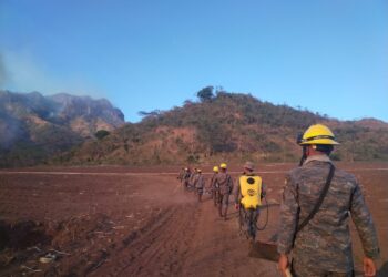 Continúan acciones para el combate de incendios