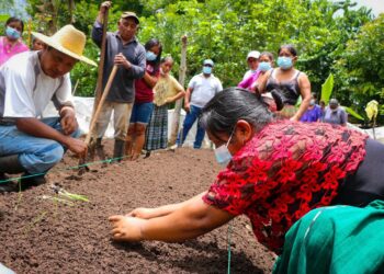 Capacitación busca que los agricultores tengan nuevas oportunidades de crecimiento. /Foto: MAGA