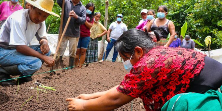 Capacitación busca que los agricultores tengan nuevas oportunidades de crecimiento. /Foto: MAGA
