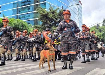 Batallón humanitario se mantiene en apresto ante emergencias