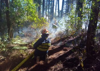 Buscan fortalecer estrategias para la prevención de incendios forestales. /Foto: Conred