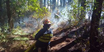 Buscan fortalecer estrategias para la prevención de incendios forestales. /Foto: Conred