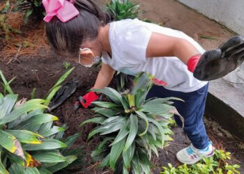 Impulsan acciones en estudiantes para cuidado del medio ambiente