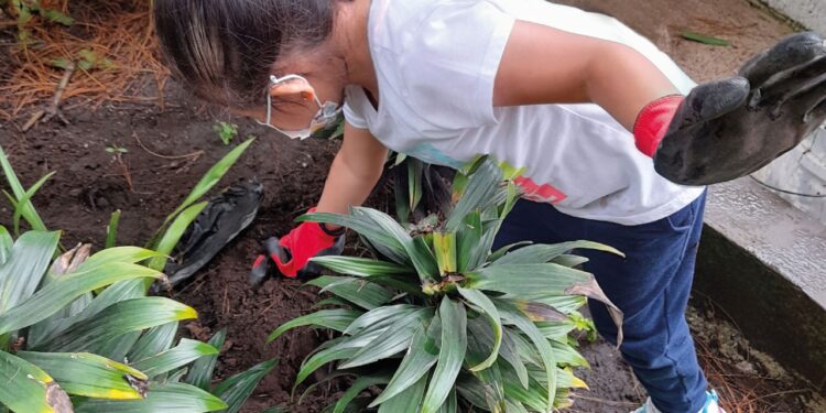 Impulsan acciones en estudiantes para cuidado del medio ambiente