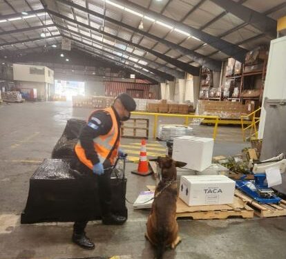 Agentes antinarcóticos incautan droga en encomienda