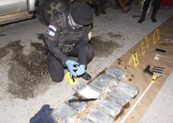 Operativo antinarcótico permite decomisar 11 paquetes con cocaína