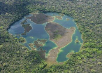 Celebran el 33 aniversario de creación de la Reserva de la Biosfera Maya