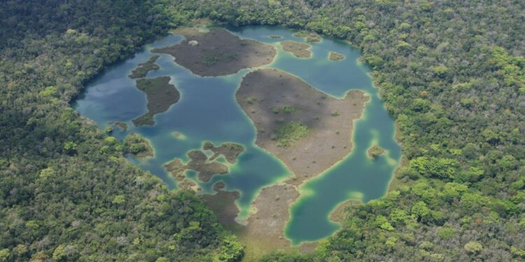 Celebran el 33 aniversario de creación de la Reserva de la Biosfera Maya